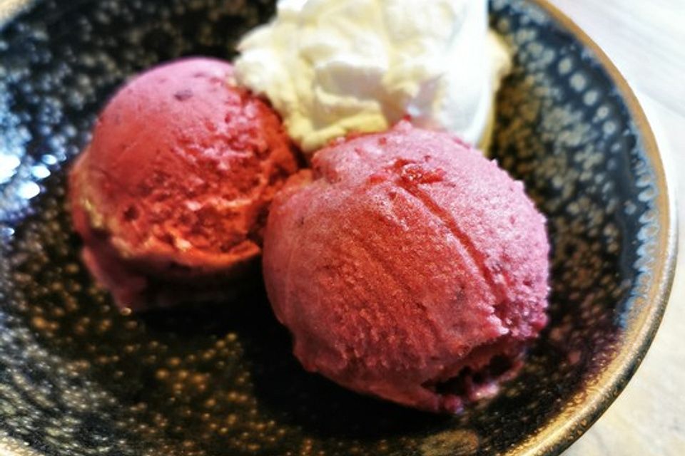 Johannisbeer-Cranberry-Sorbet