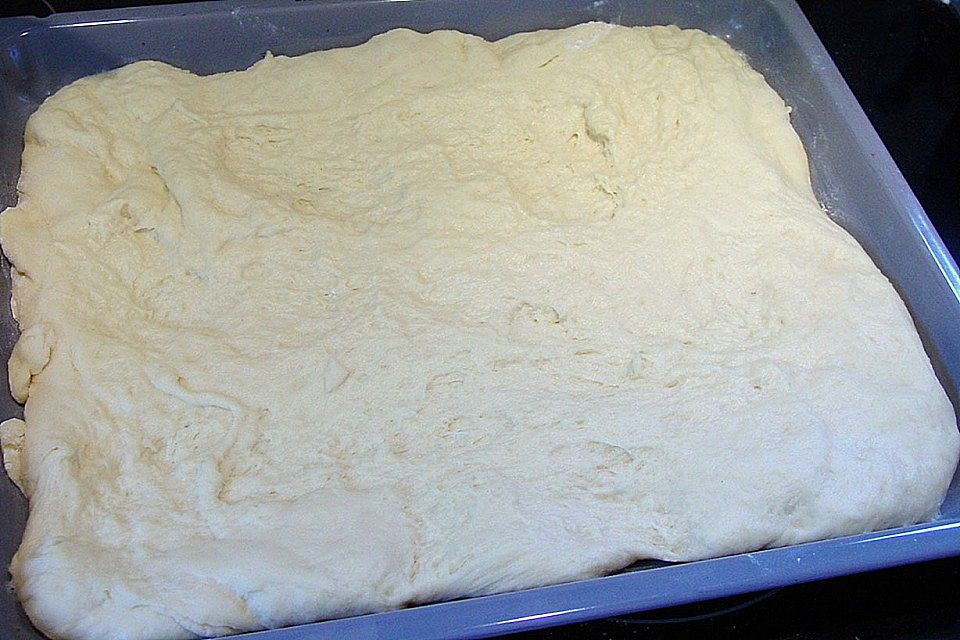 Omis fruchtiger Schmandkuchen vom Blech Omis fruchtiger Schmandkuchen vom Blech