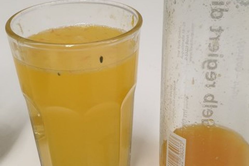 Orangen-Grapefruit-Limonade mit und ohne Kräuter