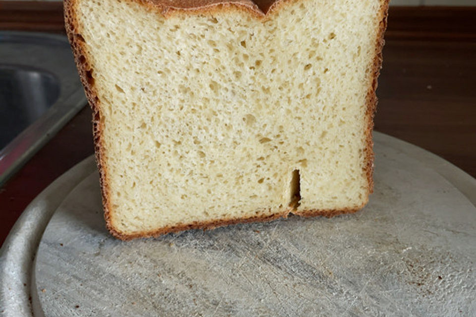 Dinkel-Joghurt-Brot aus dem Brotbackautomaten