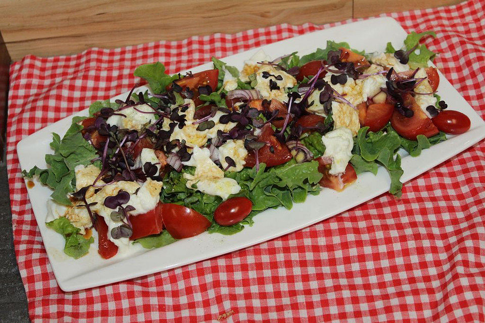 Eichblattsalat mit Tomate, Mozzarella, roter Zwiebel und Radieschensprossen in Balsamico-Olivenöl-Dressing