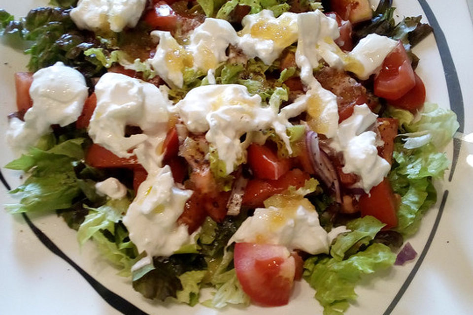 Eichblattsalat mit Tomate, Mozzarella, roter Zwiebel und Radieschensprossen in Balsamico-Olivenöl-Dressing