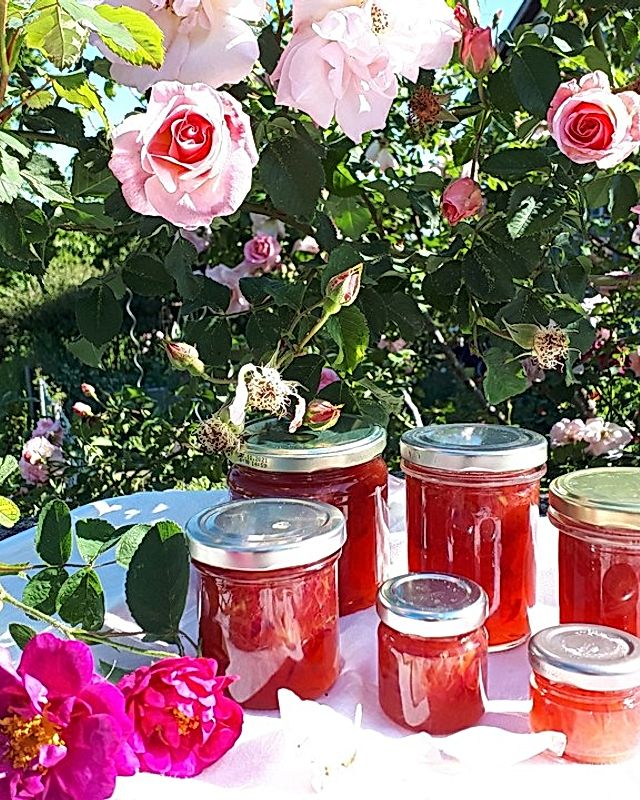 Rosenblüten-Rhabarber-Marmelade
