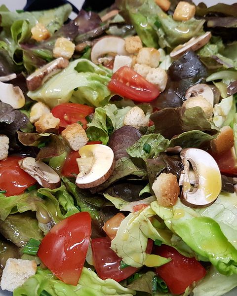 Eichblattsalat Rezepte | Chefkoch