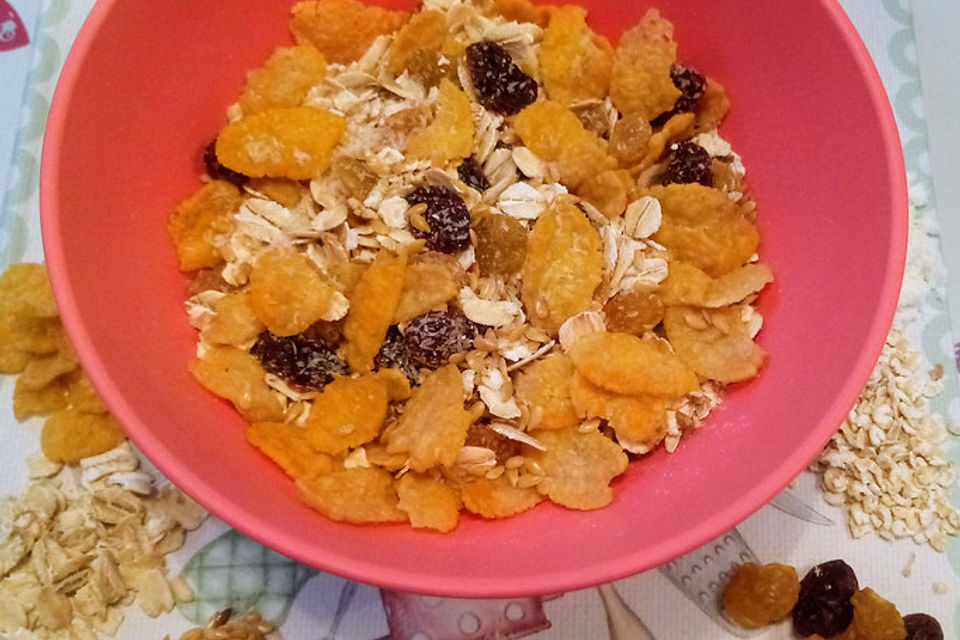 Veganes Power-Müsli