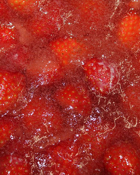 Tortenguss Rezepte Chefkoch