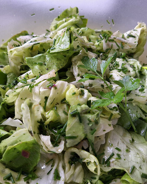 Kopfsalat Mit Krausen Blättern