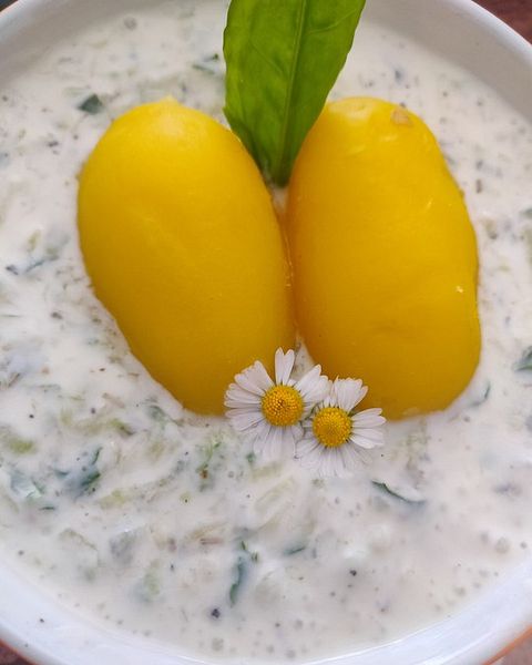 Diätsuppen Rezepte | Chefkoch