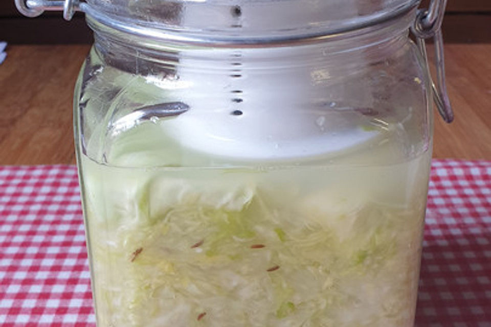 Weißkohl zu Sauerkraut fermentiert