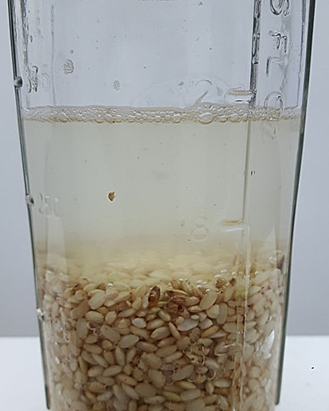Braunen Reis fermentieren