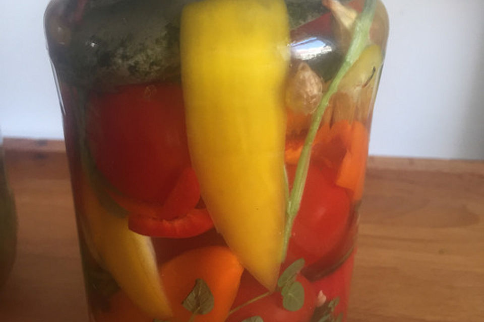 Fermentierter Tomaten-Paprikamix