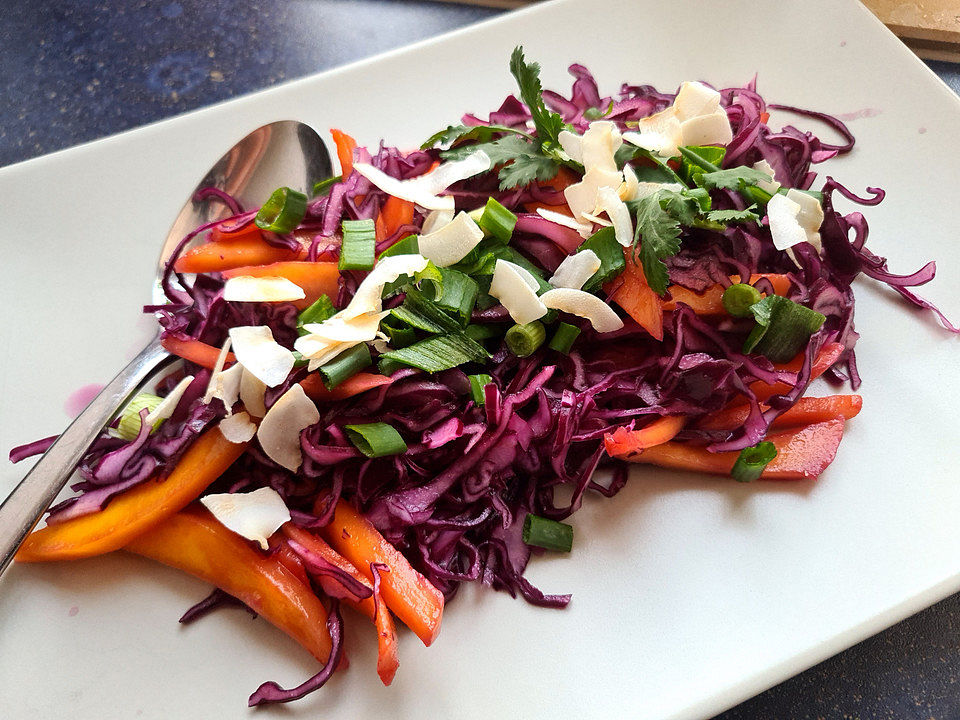 Rotkohl-Slaw mit Mango und Kokosnuss von schnucki25| Chefkoch