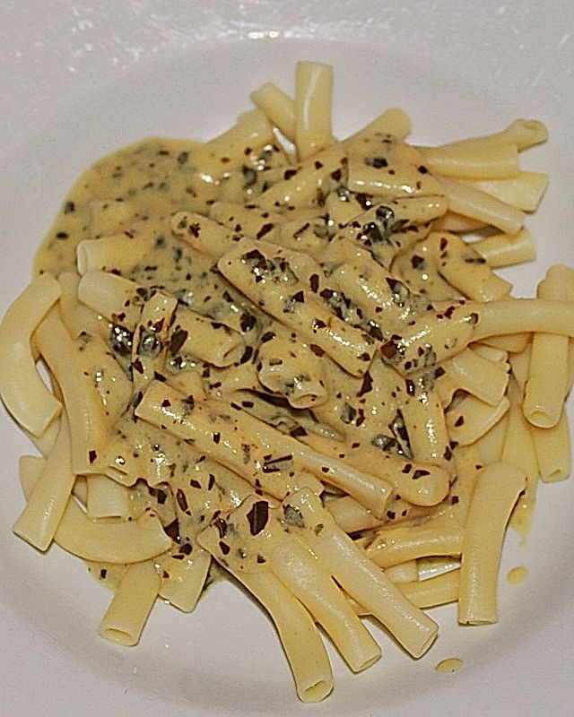 Basilikum - Honig - Sauce zu Pasta