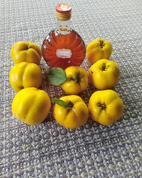 Quittenlikör Rezepte - die besten Rezepte 2026 | Chefkoch