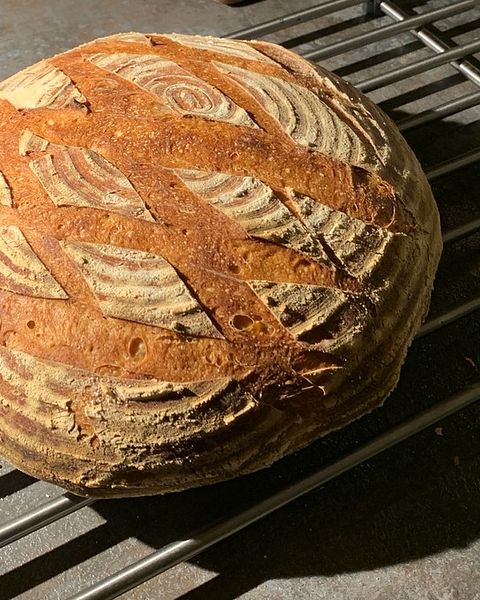 Weizenmischbrot Rezepte | Chefkoch Weizenmischbrot Rezepte | Chefkoch