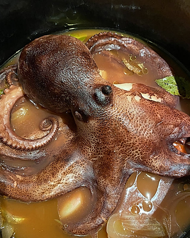 Pulpo / Oktopus aus dem Kochtopf