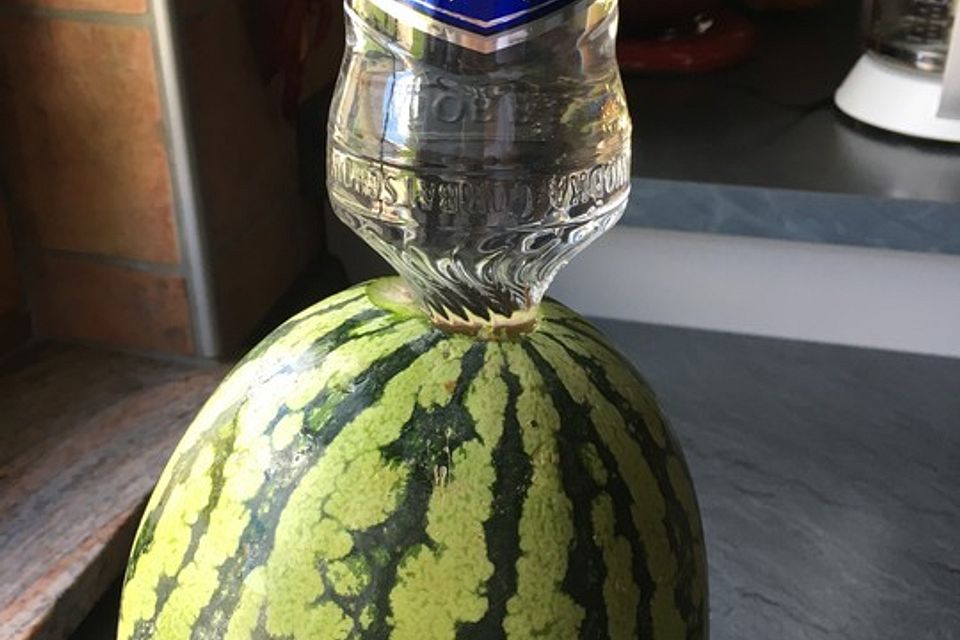 Wodka - Melone