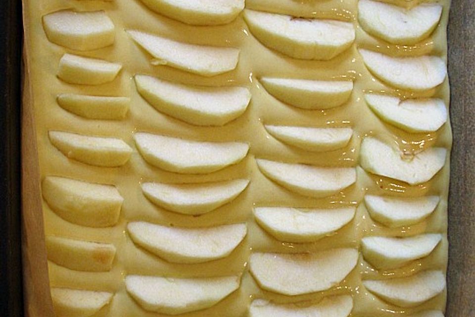 Apfelkuchen für Dummies Apfelkuchen für Dummies