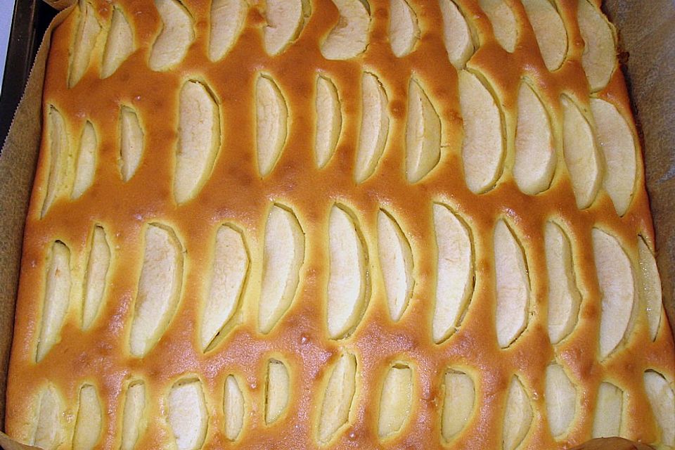 Apfelkuchen für Dummies Apfelkuchen für Dummies
