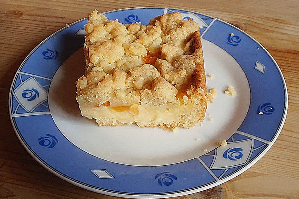 Pudding-Streusel-Kuchen