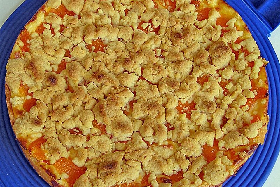 Pudding-Streusel-Kuchen