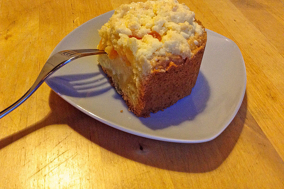 Pudding-Streusel-Kuchen