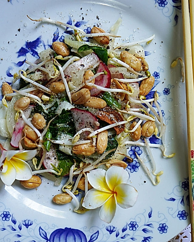 Thailändischer Kohlsalat mit Radieschen und Erdnüssen