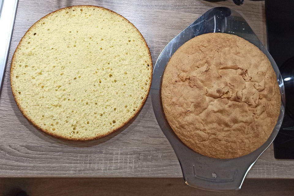 Biskuitboden für Torten und Kuchen