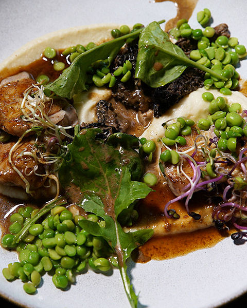 Wachtelbrust Rezepte | Chefkoch