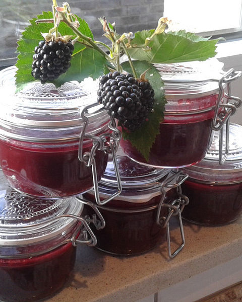 Brombeerkonfitüre Rezepte | Chefkoch Brombeerkonfitüre Rezepte | Chefkoch