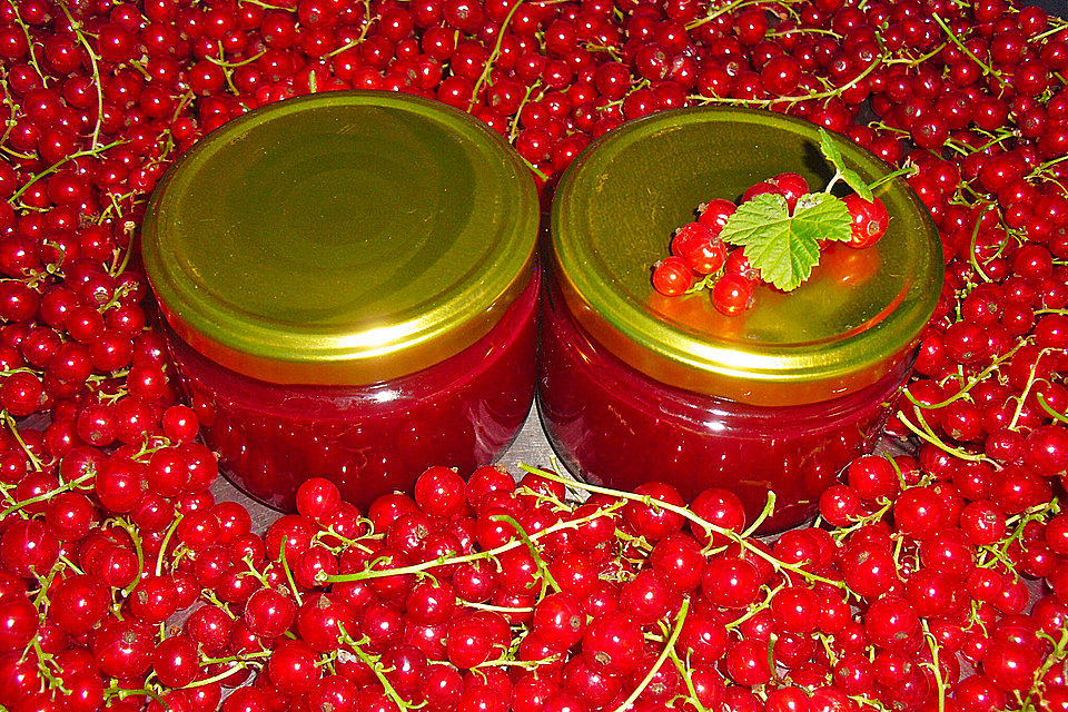 Erdbeer - Johannisbeer - Marmelade