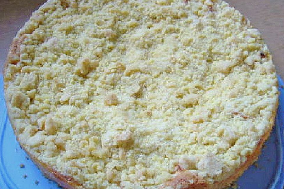 Apfel-Streuselkuchen mit Pudding