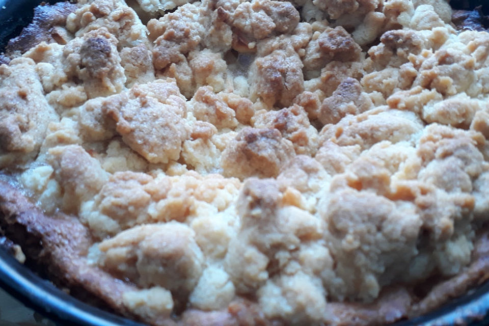 Apfel-Streuselkuchen mit Pudding