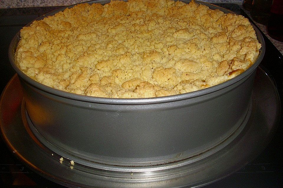 Apfel-Streuselkuchen mit Pudding