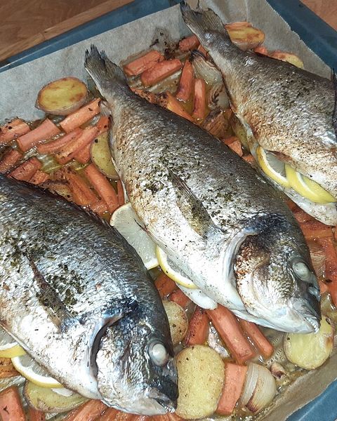 Dorade Rezepte - die besten Rezepte 2023 | Chefkoch