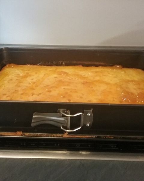 Topfkuchen Rezepte | Chefkoch