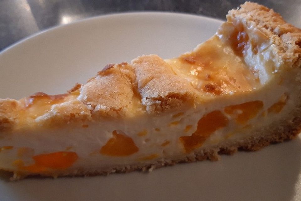 Mandarinen - Schmandkuchen