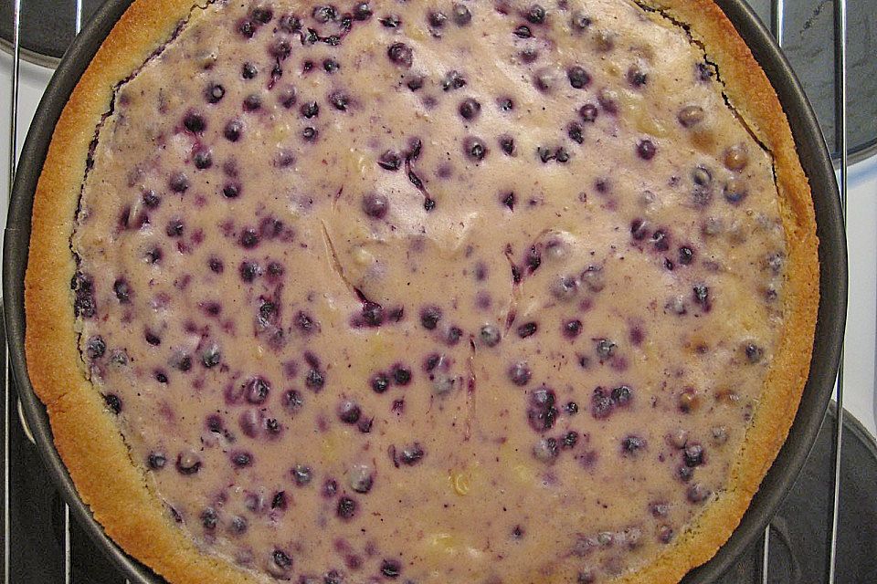 Mandarinen - Schmandkuchen