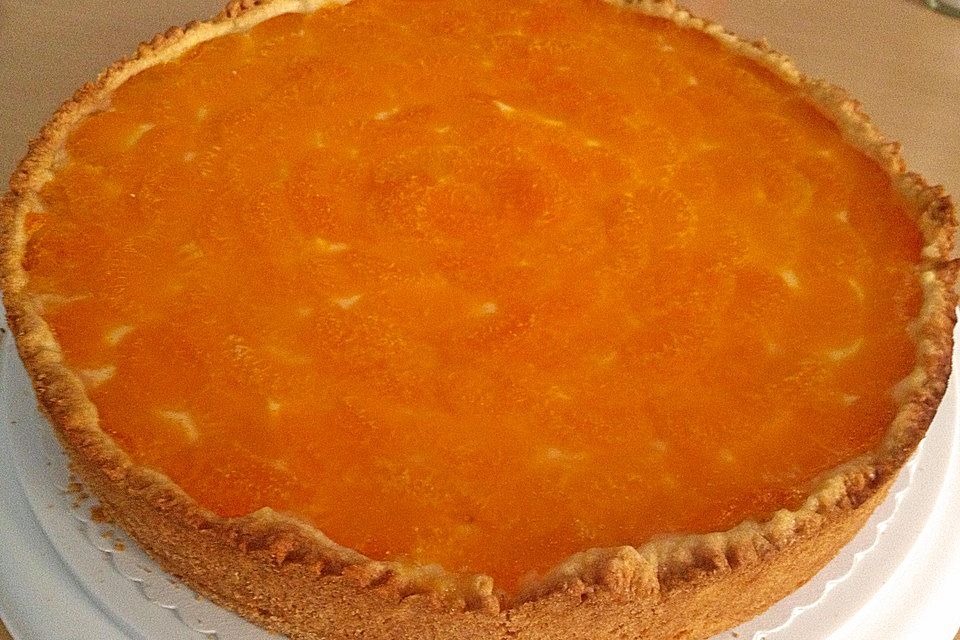 Mandarinen - Schmandkuchen