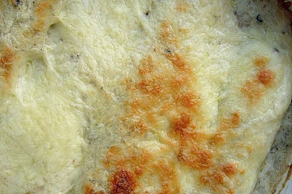 Fenchel - Tomaten - Lasagne