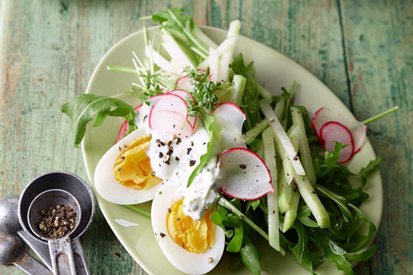 Kohlrabisalat mit Kresse - Schmand von AGMA | Chefkoch