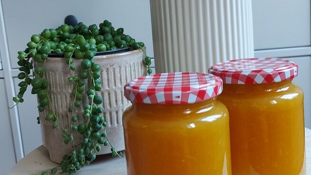 Orangen-Holunder-Marmelade von leo_klaus