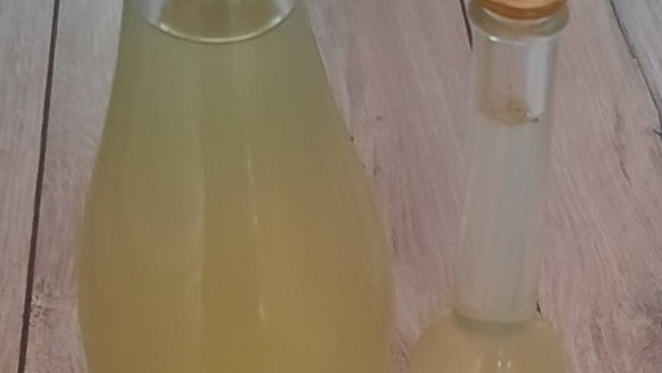 Minze-Zitronenmelisse-Sirup von StiniFritzi Minze-Zitronenmelisse-Sirup von StiniFritzi