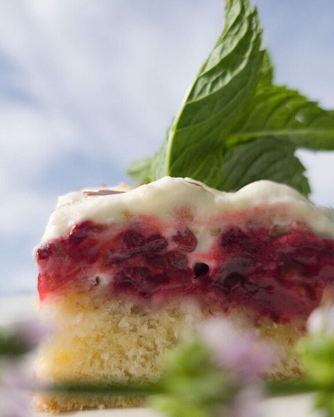 Brombeerkuchen Rezepte | Chefkoch