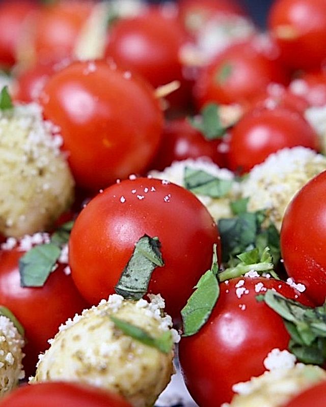 Mozzarella - Tomaten Spieße