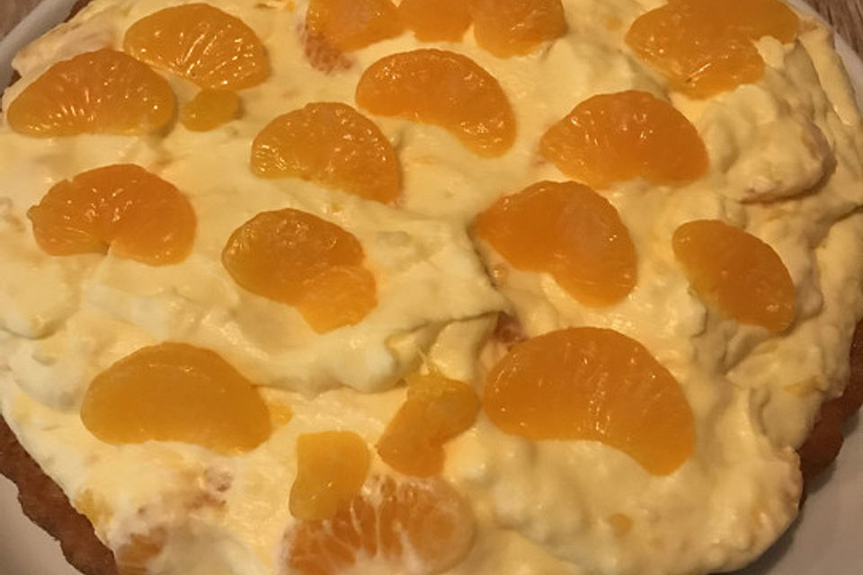 Schüttelkuchen - Pudding - Mandarinen