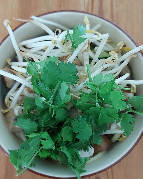 Pho Rezepte | Chefkoch