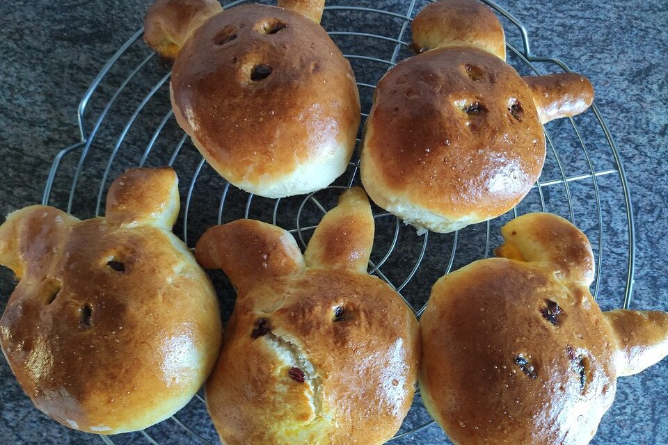 Hasenbrötchen mit Quark - Öl - Teig