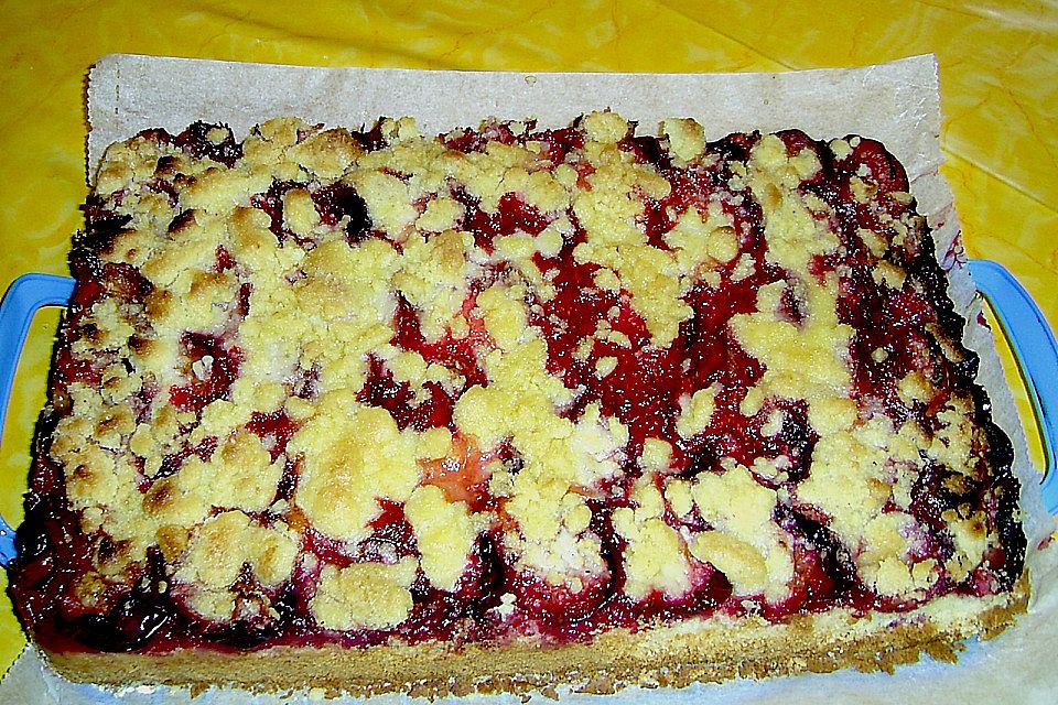 Zwetschgenkuchen mit Quarkölteig