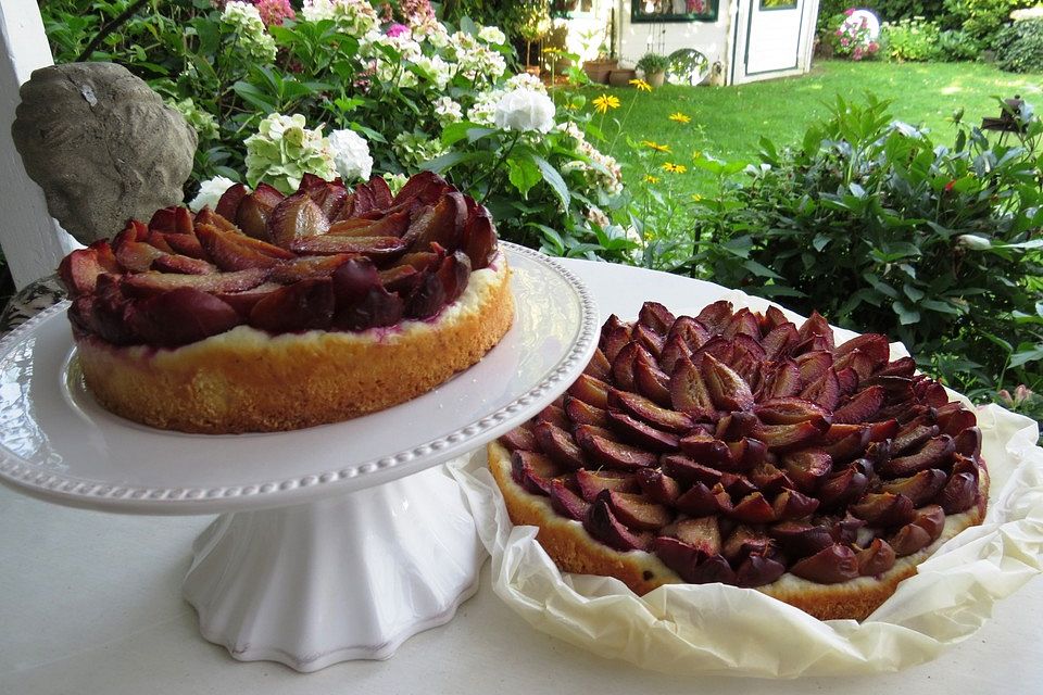 Zwetschgenkuchen mit Quarkölteig